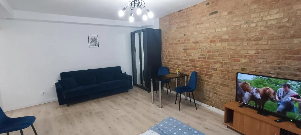 Jackowskiego Niebieski Poznan Apartment