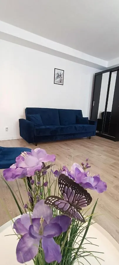 Jackowskiego Niebieski Poznan Apartment